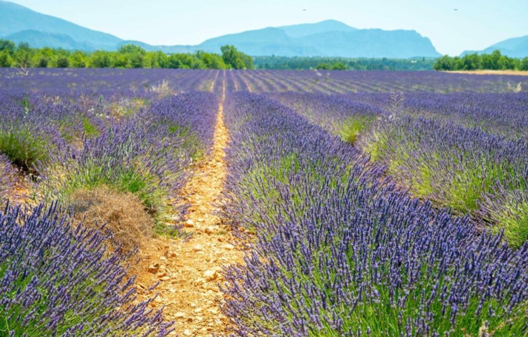 Fuvolea, Maison De Vacances A 15 Min Du Centre D'Aix-En-Provence, Piscine Chauffee En Saison - Jardin - Parking Prive Gratuit Fuveau Zewnętrze zdjęcie