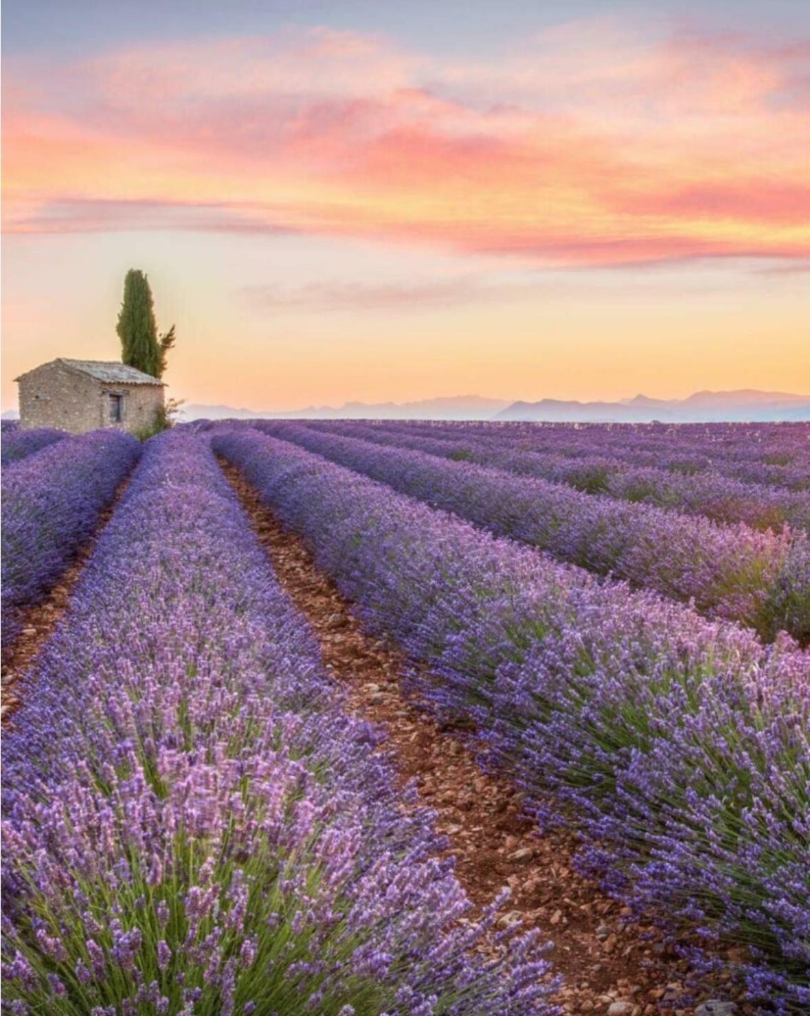 Fuvolea, Maison De Vacances A 15 Min Du Centre D'Aix-En-Provence, Piscine Chauffee En Saison - Jardin - Parking Prive Gratuit Fuveau Zewnętrze zdjęcie